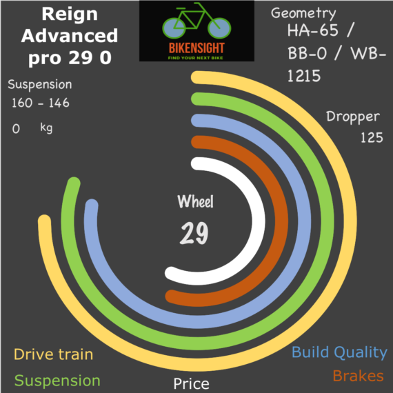 Bikensight Reign Advanced pro 29 0