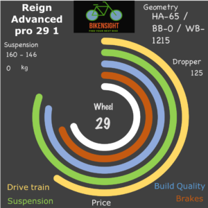 Bikensight Reign Advanced pro 29 1