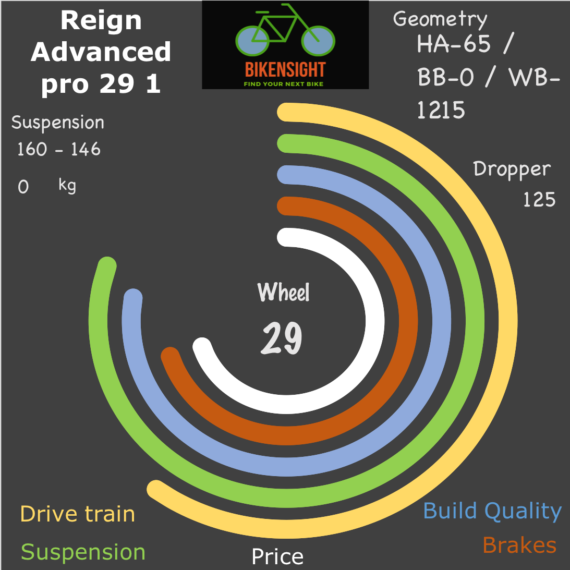 Bikensight Reign Advanced pro 29 1