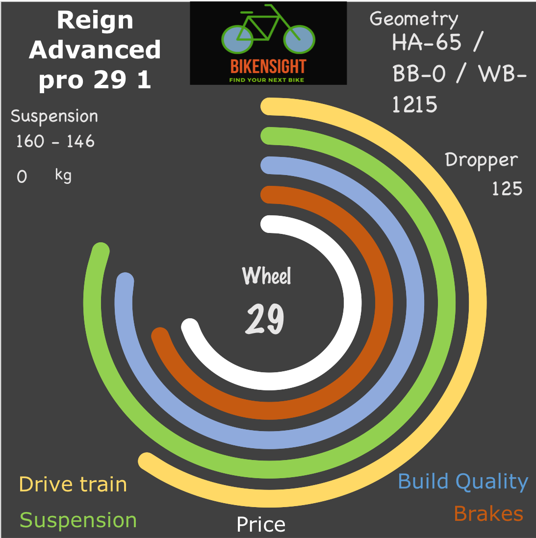 Bikensight Reign Advanced pro 29 1