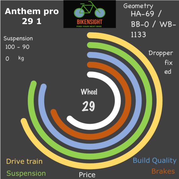 Bikensight Anthem pro 29 1