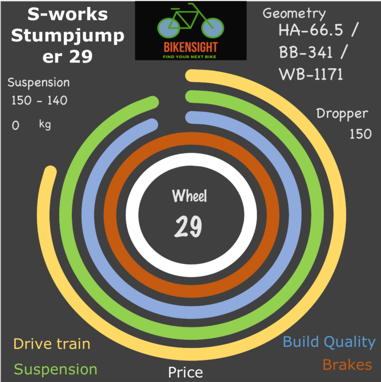 Bikensight S-works Stumpjumper 29